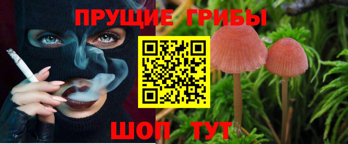 Галлюциногенные грибы Cubensis  Вход с VPN  Хабаровск 
